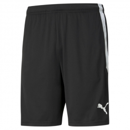 teamLIGA Training Shorts