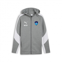teamEVOSTRIPE Hooded Jacket