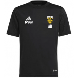 T-SHIRT ECHAUFFEMENT ASH