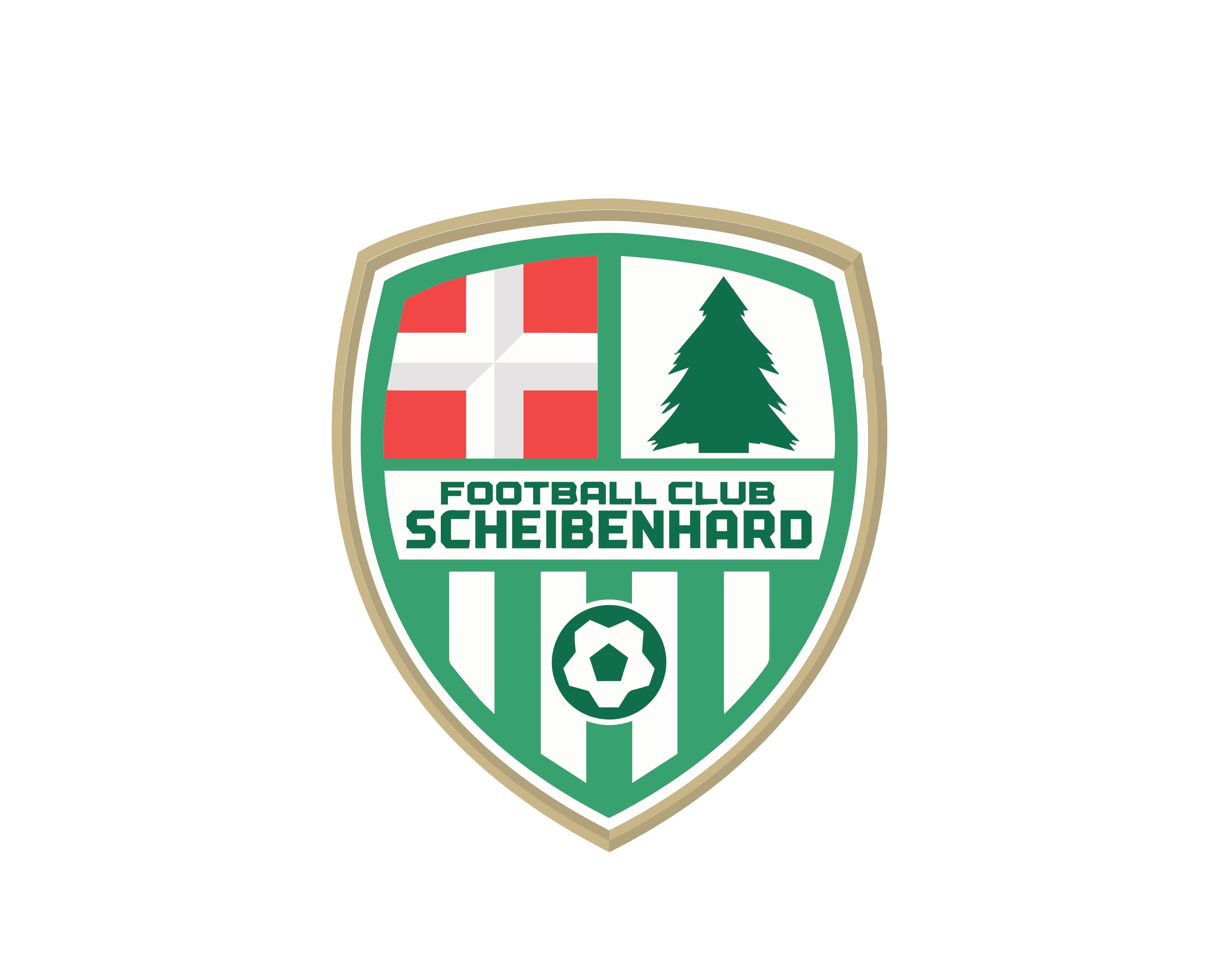 FC SCHEIBENHARD