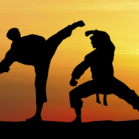 Sports de combat -